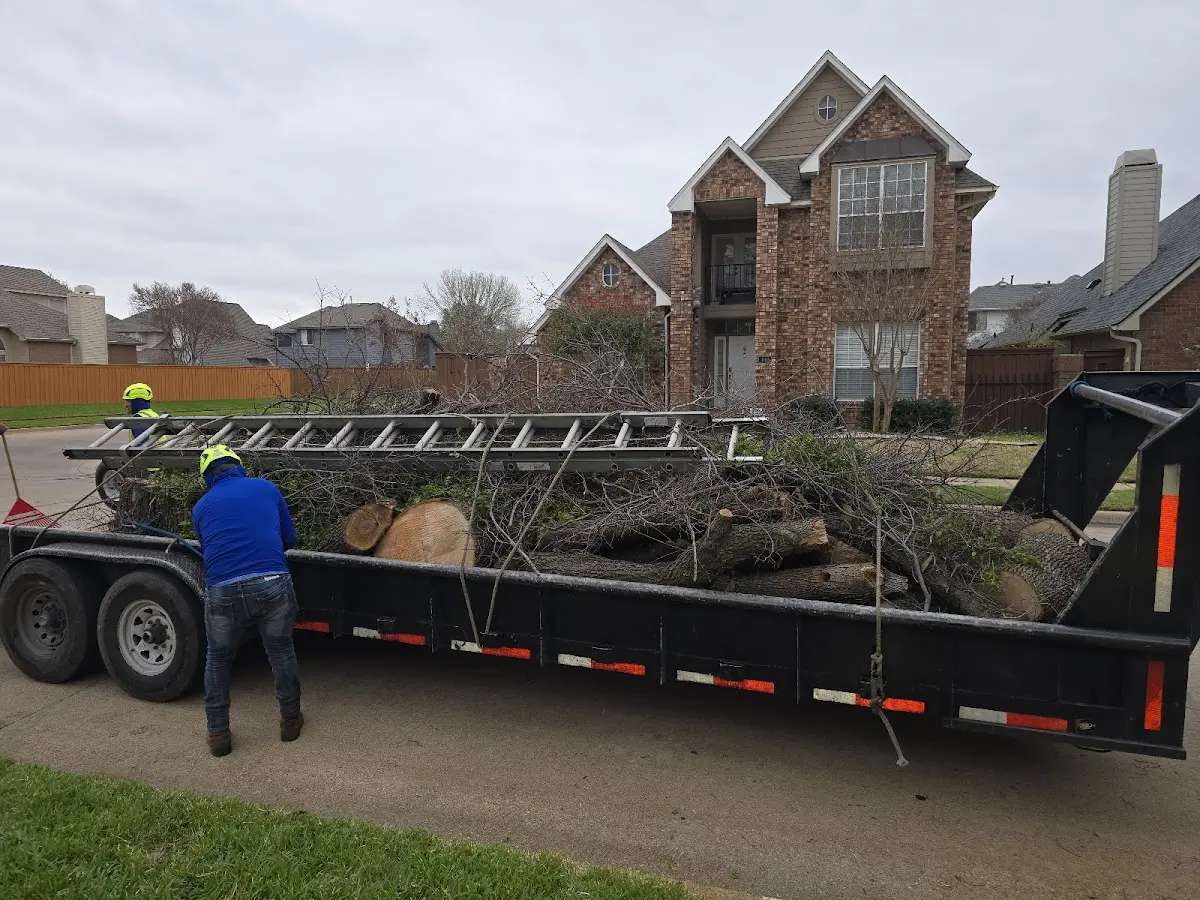 Expert Tree Removal with proper safety equipment in East Alton